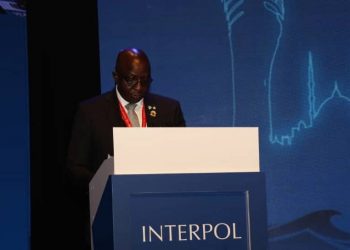 AIG Garba Baba Umar Interpol Vice President Africa