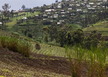 Surge in violence leaves thousands in DRC in desperate need of assistance