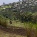 Surge in violence leaves thousands in DRC in desperate need of assistance