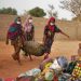 2021 Year in Review: Refugee, migrant numbers rise, despite travel curbs