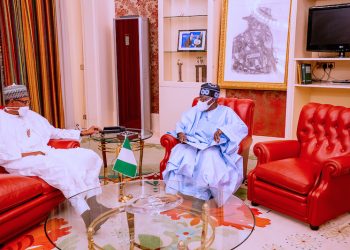 I have told Buhari about my 2023 presidential ambition – Tinubu