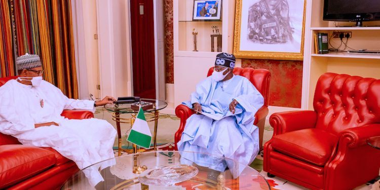 I have told Buhari about my 2023 presidential ambition – Tinubu