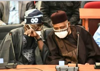 Senator Shettima’s comment on Tinubu: Matters arising