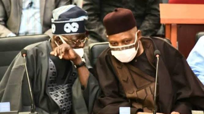 Senator Shettima’s comment on Tinubu: Matters arising