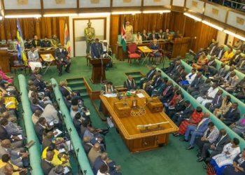 Uganda: Members of Parliament query merger of electricity agencies