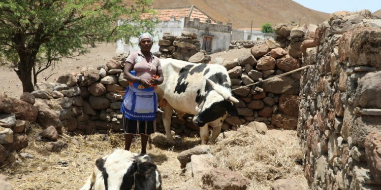 Cabo Verde faces spike in food insecurity over drought, Covid-19, Ukraine crisis