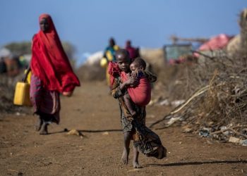 WHO intensifies response in Horn of Africa as food insecurity worsens