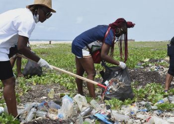 Plastic pollution in Nigeria is poorly studied but enough is known to urge action