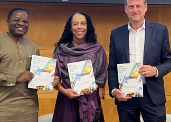 AfDB, IMF experts underscore urgency of climate financing for Africa