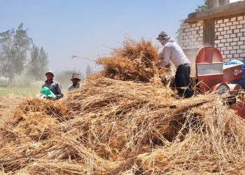 U.S. Government pledges $50 million to support Egypt’s food security