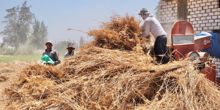 U.S. Government pledges $50 million to support Egypt’s food security