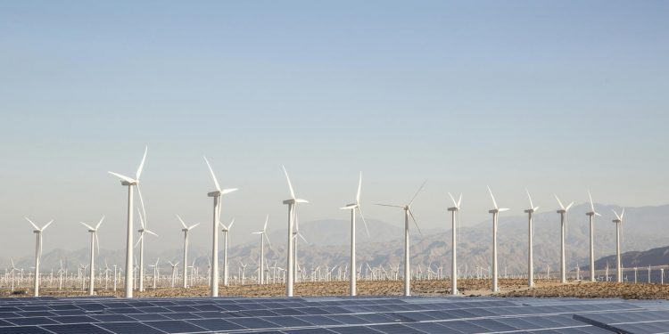 Africa’s wind energy industry expected to diversify as interest to harness the continent’s wind grows