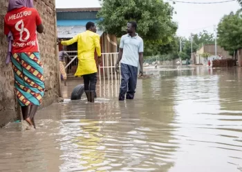 Unprecedented flooding affects more than 340,000 people in Chad, says UN agency