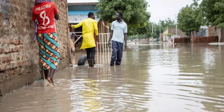 Unprecedented flooding affects more than 340,000 people in Chad, says UN agency