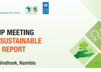 Expert Group assesses Africa’s progress in meeting Sustainable Development Goals and Agenda 2063