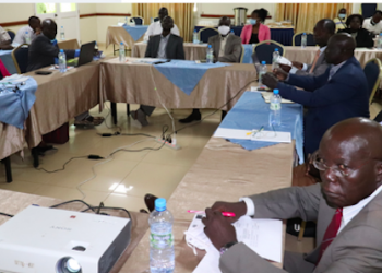 ITC, South Sudan to create jobs with fruits and vegetables strategy