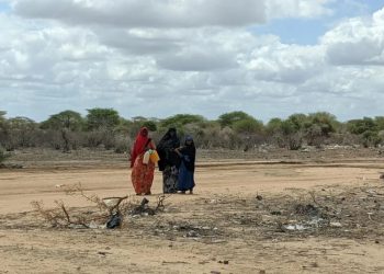 1 million people displaced by drought in Somalia