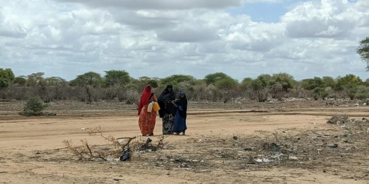 1 million people displaced by drought in Somalia