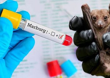 Ghana declares end of Marburg virus outbreak