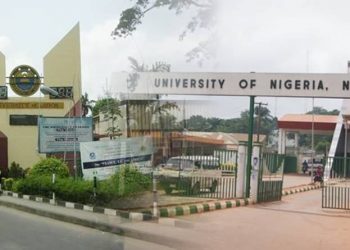 Nigeria’s universities can find funds and produce job creators: here’s how
