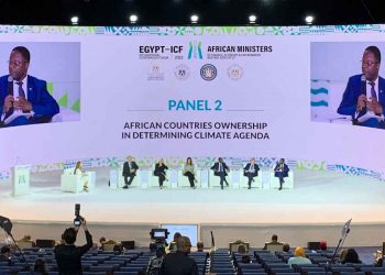 Africa loses 15% GDP per capita annually due to climate change, says AfDB Acting Chief Economist