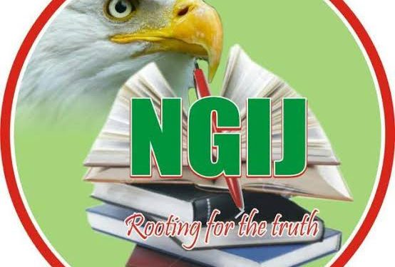NGIJ members renew tenure of Ayoyemi Mojoyinola-led Exco