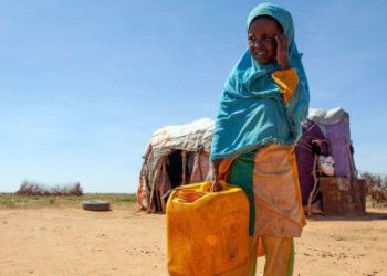 African response to climate crisis doesn’t match ‘magnitude of the challenge’ – UN official