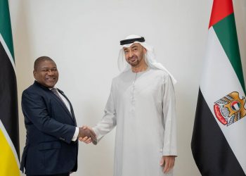 UAE, Mozambique leaders review bilateral relations
