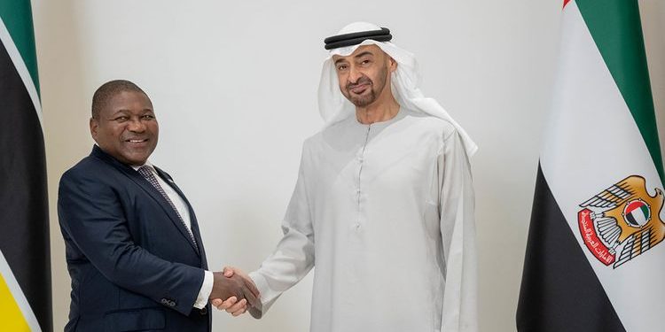 UAE, Mozambique leaders review bilateral relations