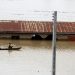 Floods in Nigeria: building dams and planting trees among steps that should be taken to curb the damage