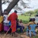 Interactive report shows how countries prevent global epidemics