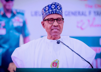 We’ll defend democracy in Africa – Buhari