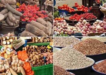 25 million Nigerians at high risk of food insecurity in 2023 – Report