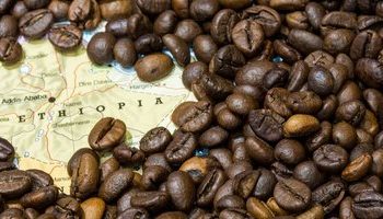 World’s leading coffee guide launches Amharic edition in Ethiopia