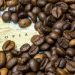 World’s leading coffee guide launches Amharic edition in Ethiopia