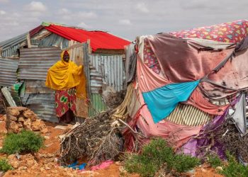 United Nations, partners seek $7 billion to prevent catastrophe in the Horn of Africa