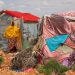 United Nations, partners seek $7 billion to prevent catastrophe in the Horn of Africa