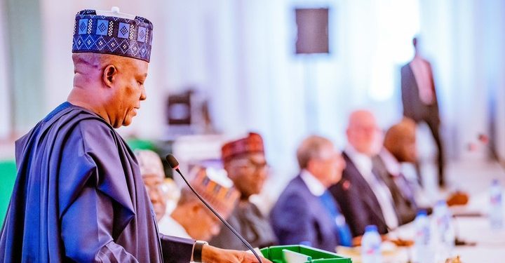 We’ll address concerns on financing primary healthcare system financing – Shettima