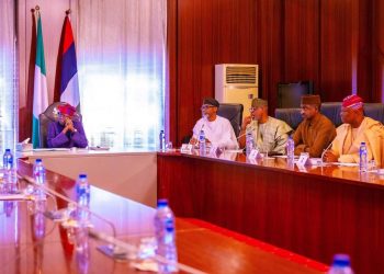 Tinubu seeks better cooperation with U.S over energy transition