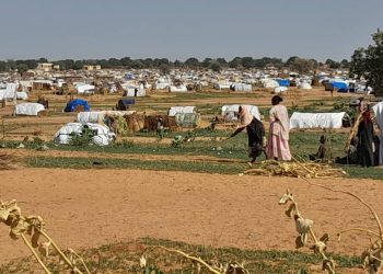 World Food Programme races to support surge of Darfur refugees arriving in Chad