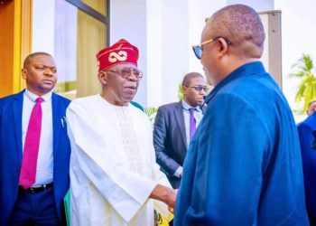 African issues: Tinubu ready to take up gauntlet – Alake