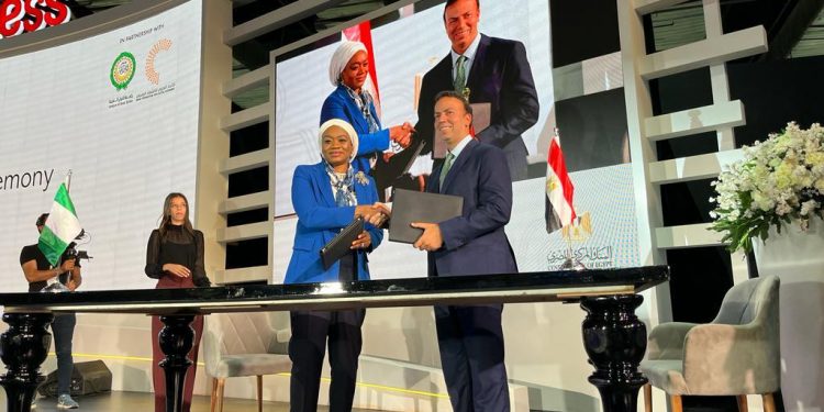 CBN, CBE set up ‘Nigeria-Egypt FinTech Bridge’