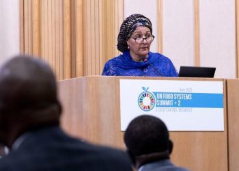Africa’s food ‘transformation’ impossible without game-changing solutions, says FAO
