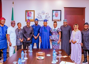 Shettima lauds Google’s N1.2 billion grant for FG’s one million digital jobs initiative