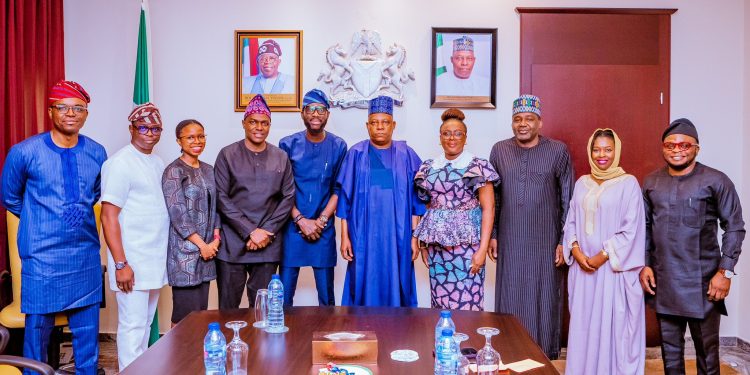 Shettima lauds Google’s N1.2 billion grant for FG’s one million digital jobs initiative