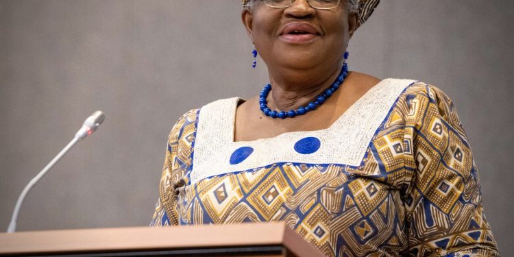 Nigeria needs community, grassroots programmes to create jobs – WTO DG