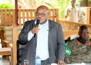 African Union special representative reaffirms commitment to Somalia’s state-building process