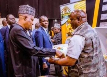 15th BRICS summit: Tinubu’s economic reforms, diplomatic alliances to attract investments, partnerships – Shettima