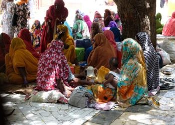 FAO raises alarm over escalating food crisis in Sudan  