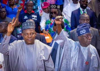Tinubu appoints 18 aides in Vice President’s office